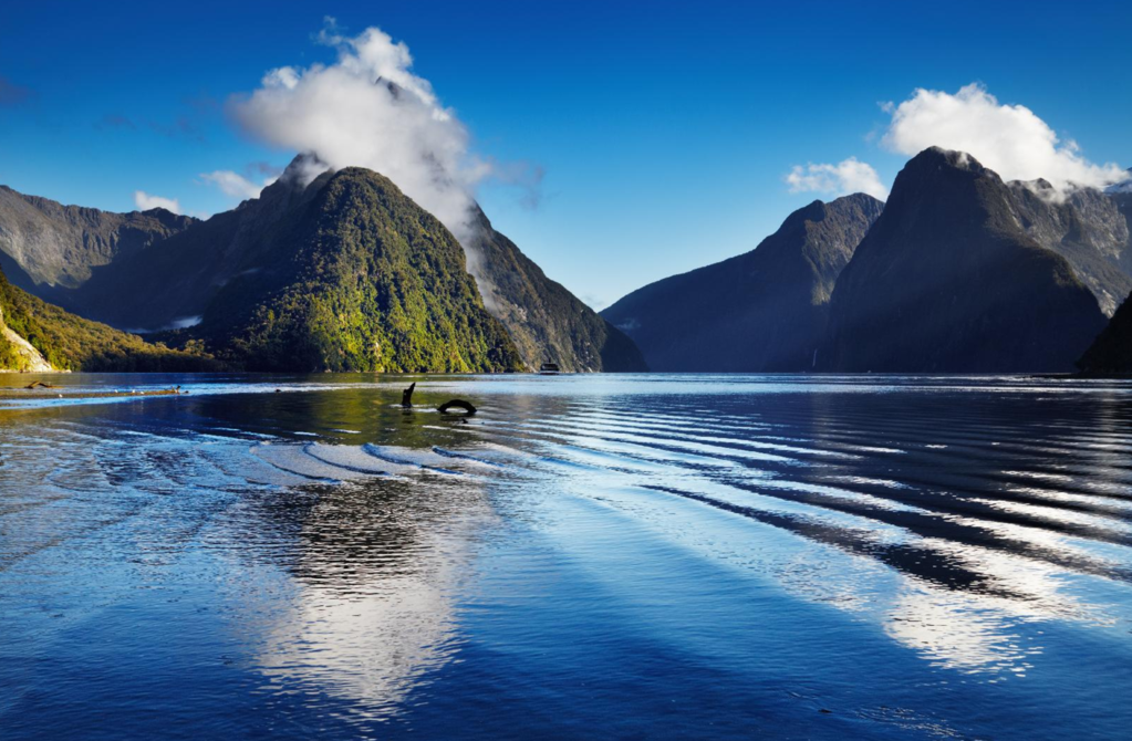 The 25 Hardest Things About Living In New Zealand