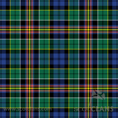 ALLISON TARTAN SHOWER CURTAIN Y1