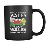 WALES IS CALLING MUG B1