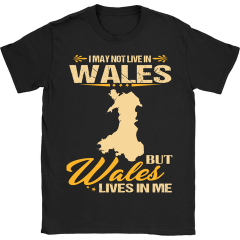 WALES LIVES IN ME 28